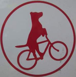 Dog-on-bike-2014