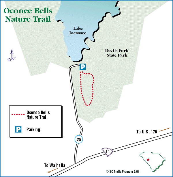 Oconee-Bells-Trail-Devil's-Fork-State-Park-SC-2-01